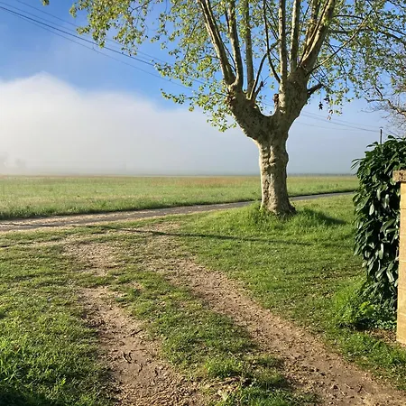 Les Salveyries En Dordogne Avec Piscine Et Grands Espaces Alles-Sur-Dordogne