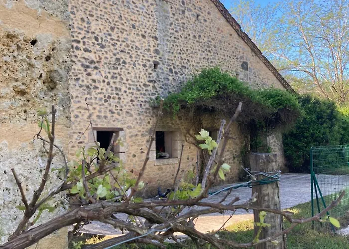 Les Salveyries En Dordogne Avec Piscine Et Grands Espaces Alles-Sur-Dordogne