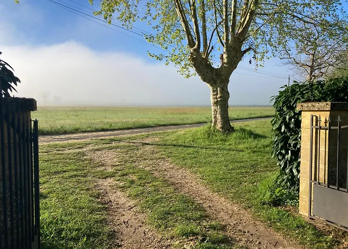 Les Salveyries En Dordogne Avec Piscine Et Grands Espaces Alles-Sur-Dordogne